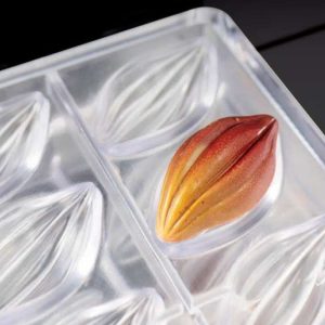 Cacao