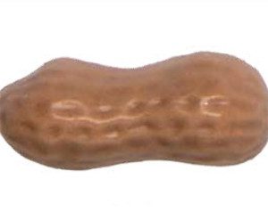 Mani